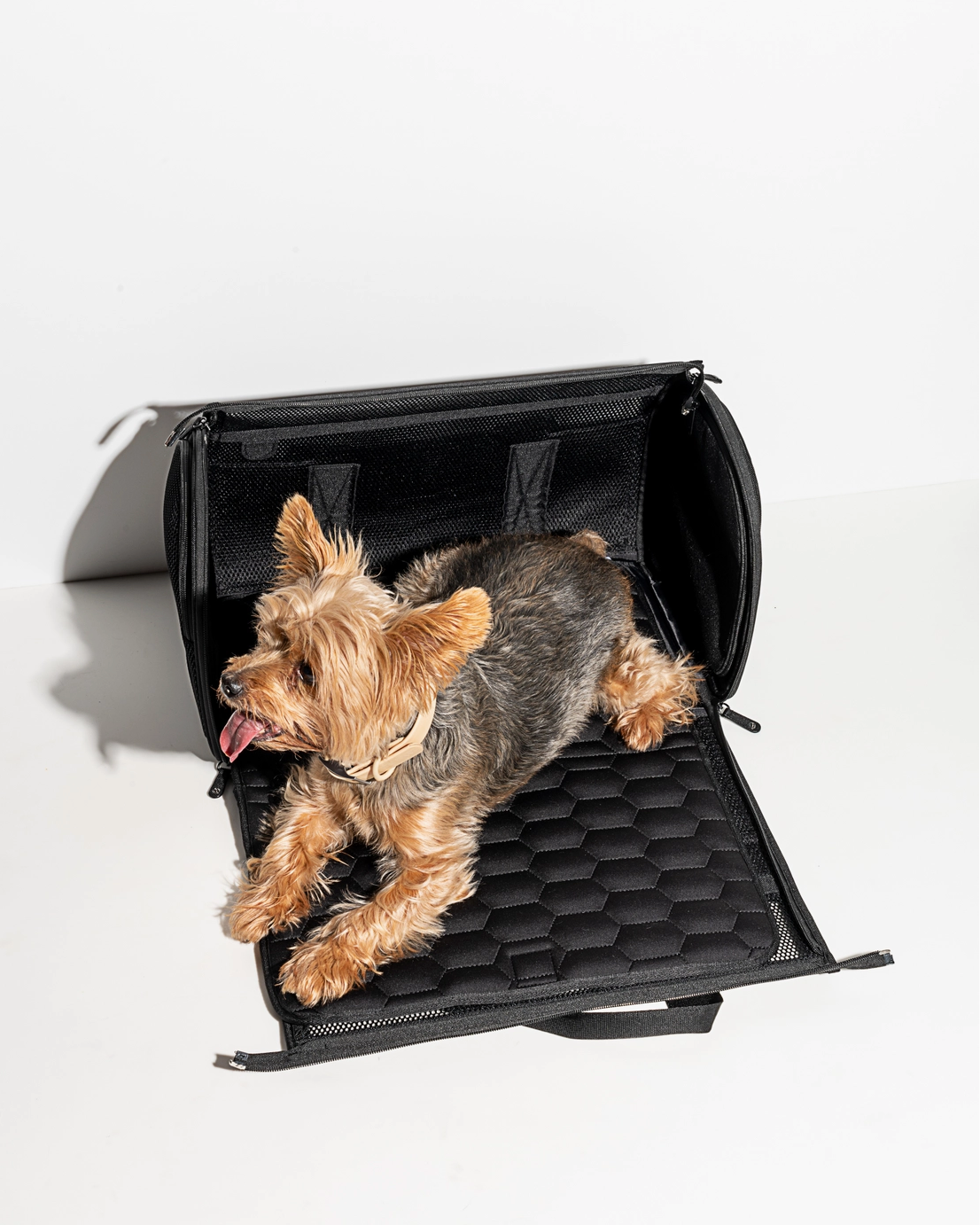 Travel TSA Compliant Pet Carrier