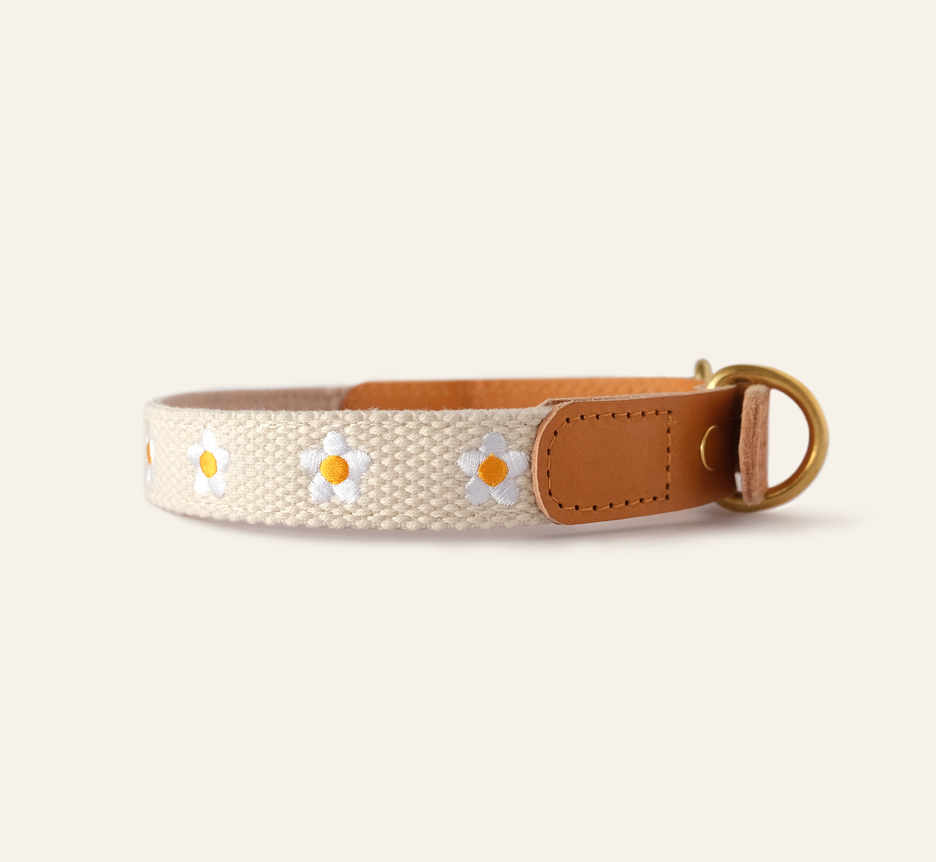 FLOWERS - Collar & Leash Set in Beige