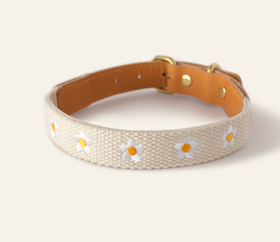 FLOWERS - Collar & Leash Set in Beige