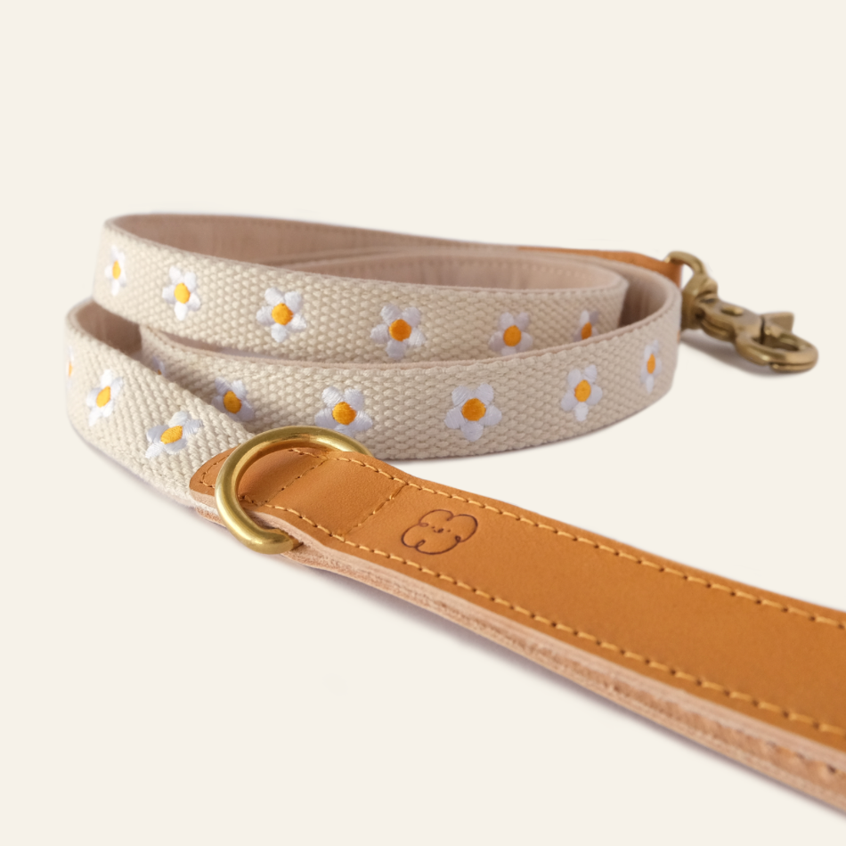 FLOWERS - Collar & Leash Set in Beige