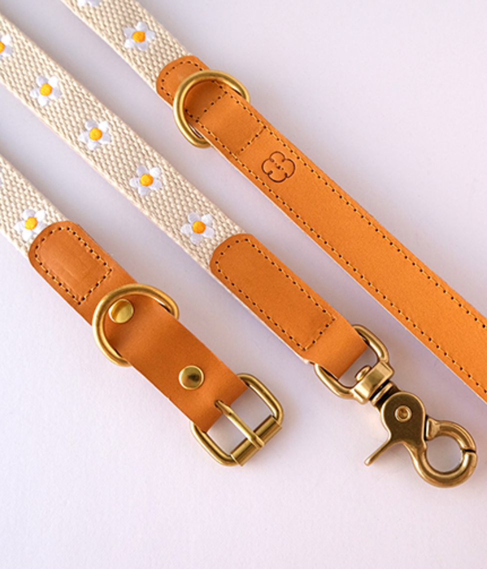 FLOWERS - Collar & Leash Set in Beige