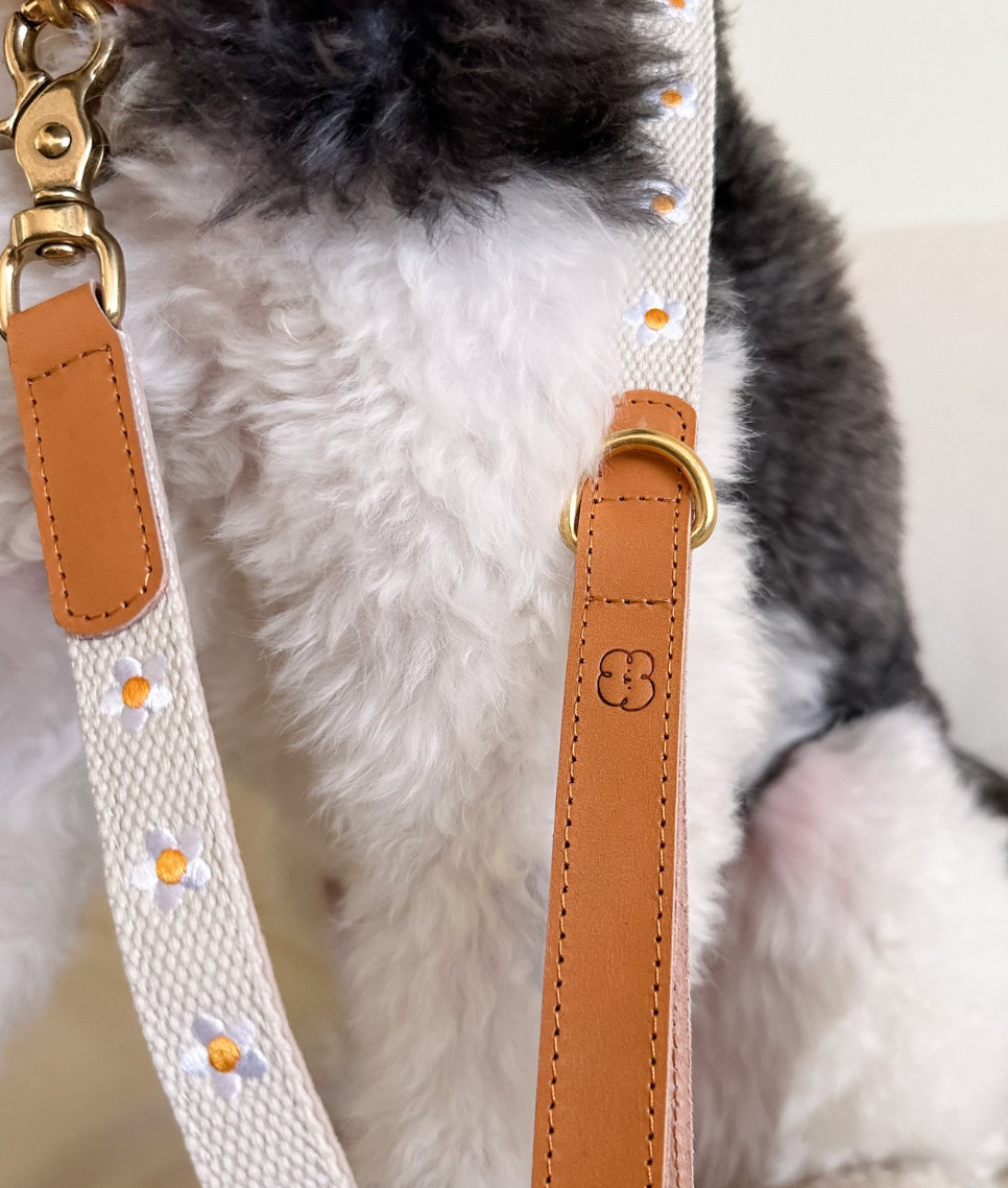 FLOWERS - Collar & Leash Set in Beige