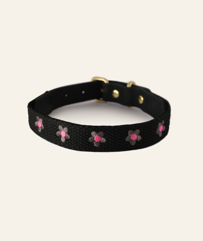 FLOWERS - Collar & Leash Set in Black