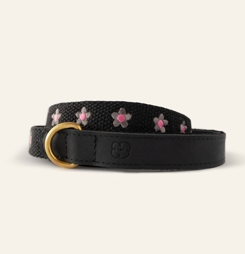 FLOWERS - Collar & Leash Set in Black