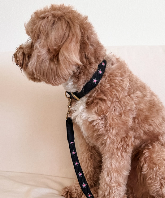 FLOWERS - Collar & Leash Set in Black