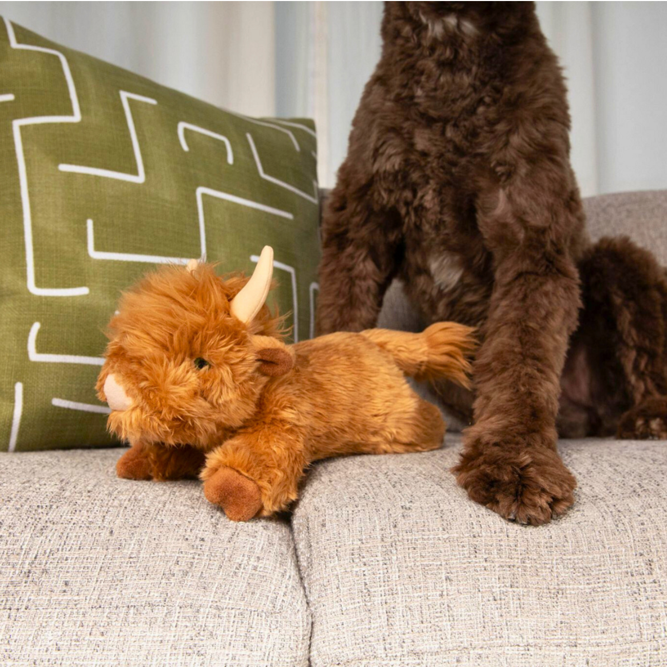 FLUFF & TUFF - Shaggy The Highland Cow