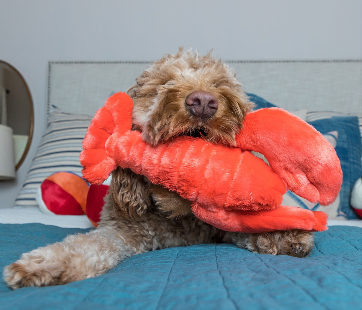 FLUFF & TUFF - Manny the Lobster