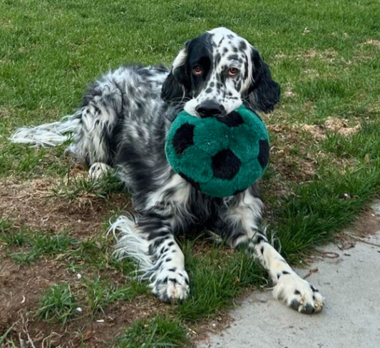 FLUFF & TUFF - Soccer Ball