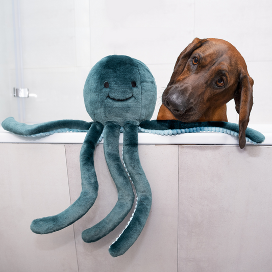 FLUFF & TUFF - Stevie the Octopus