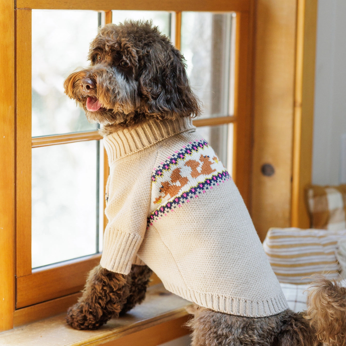 THE FOGGY DOG - Squirrel Cable Knit Dog Sweater