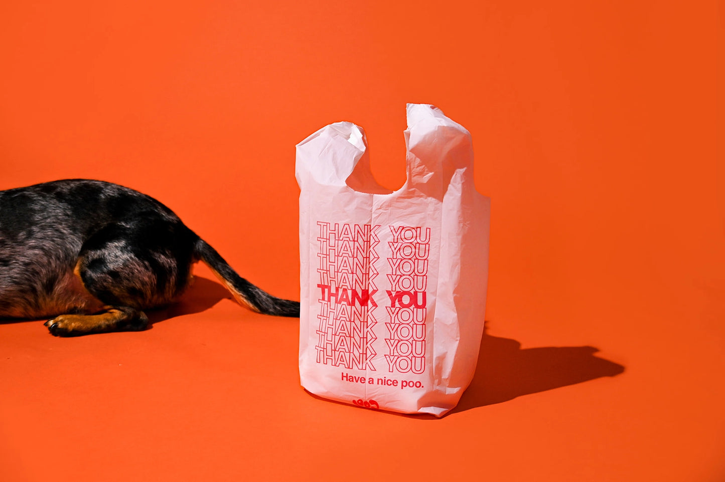 The Thank You Poo Bags