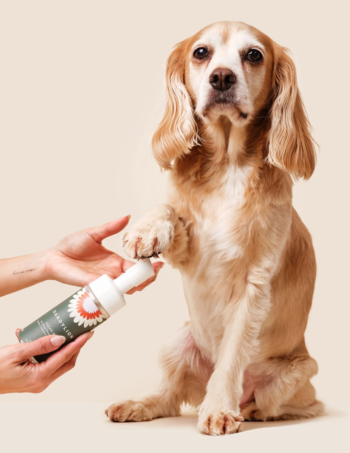 Refill - Clean Paws - No-Rinse Foaming Cleanser