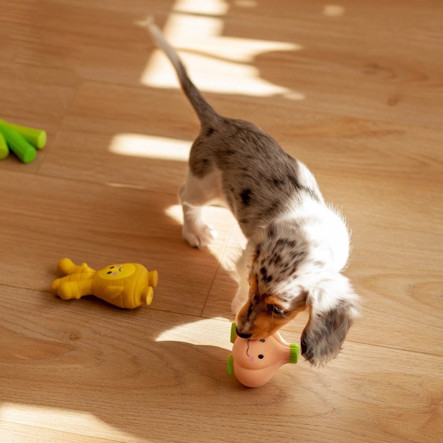 Trio of Squeaker Toys - Onion + Ginger + Garlic