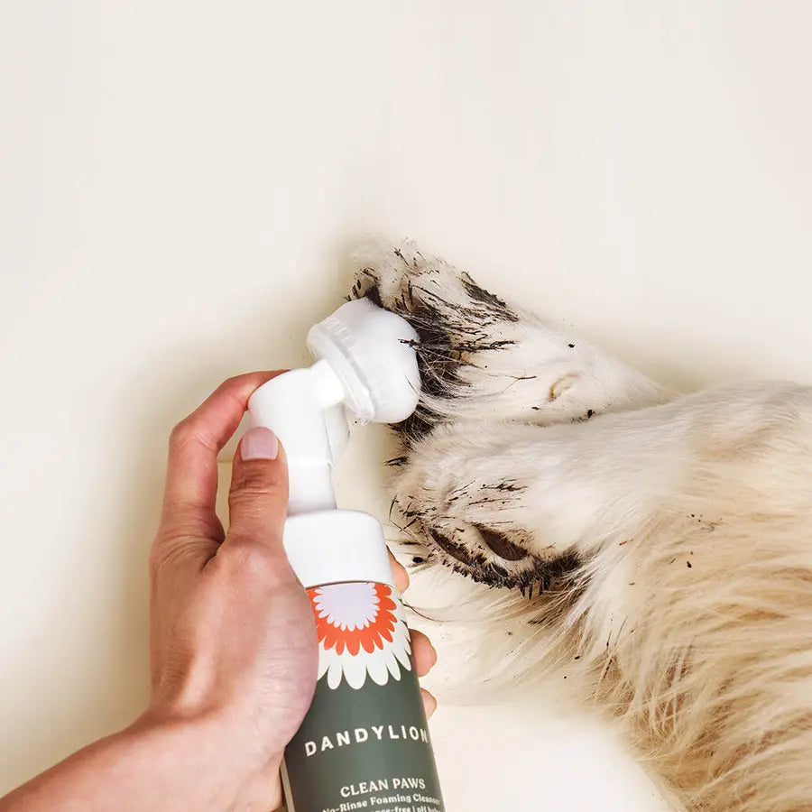 Clean Paws - No-Rinse Foaming Cleanser