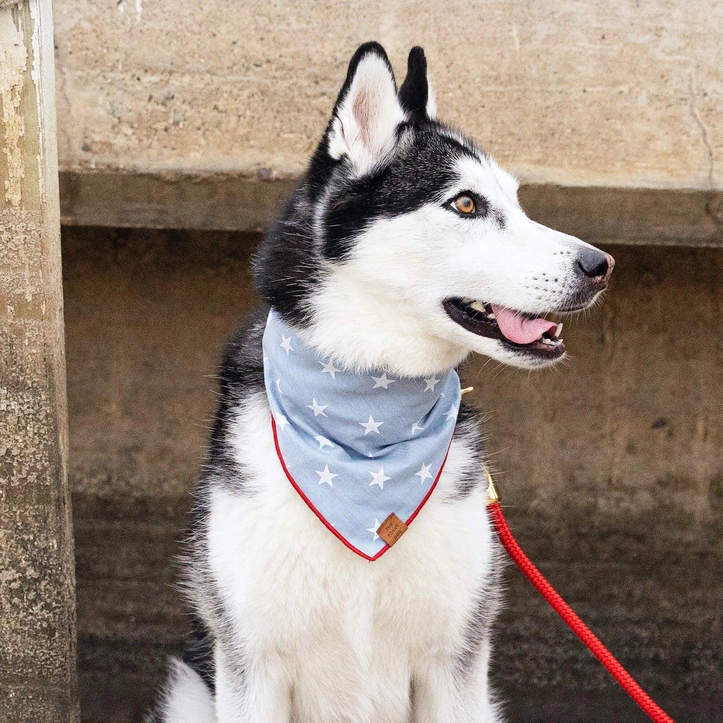 THE FOGGY DOG - Liberty 4th of July Bandana