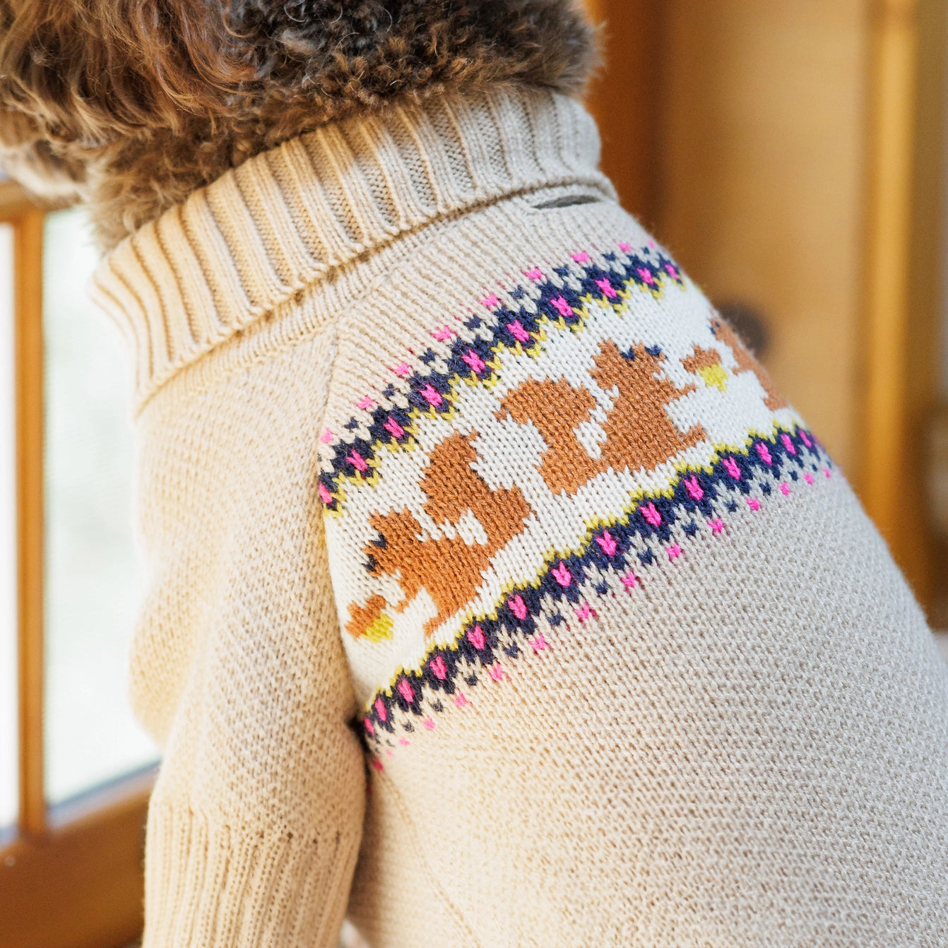 THE FOGGY DOG - Squirrel Cable Knit Dog Sweater