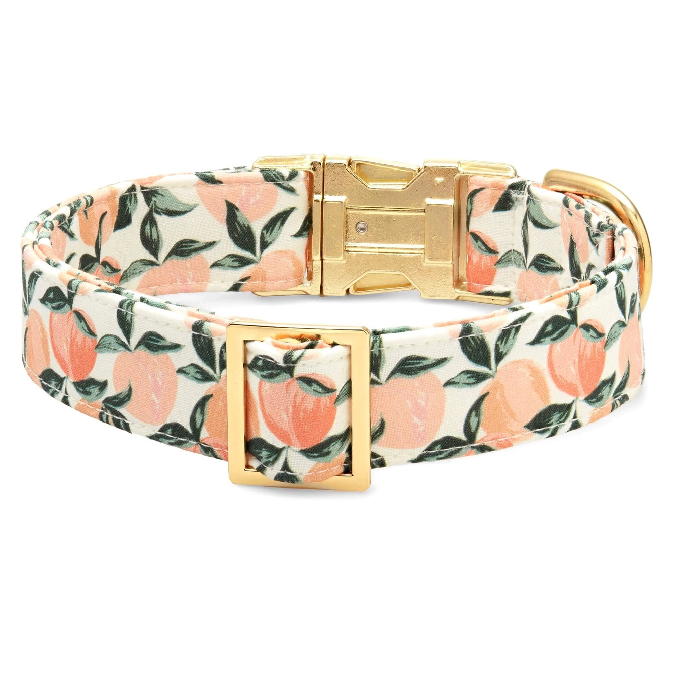 THE FOGGY DOG - Peaches and Cream Dog Collar