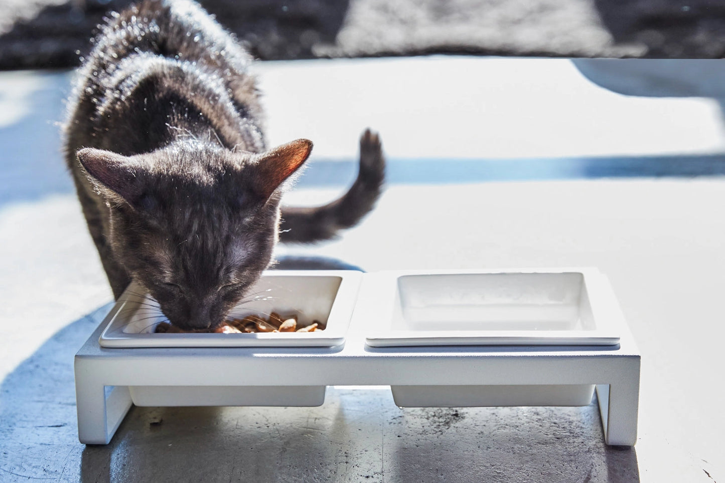 Double Pet Bowl - Short