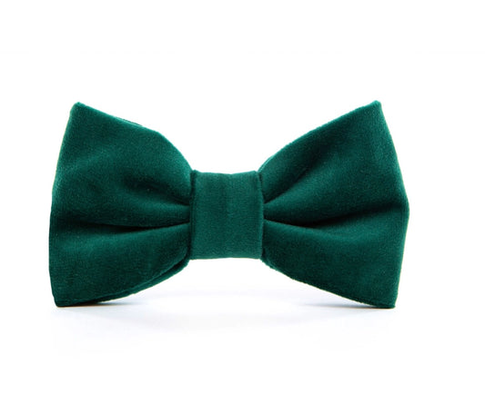 THE FOGGY DOG - Forest Green Velvet Holiday Dog Bow Tie