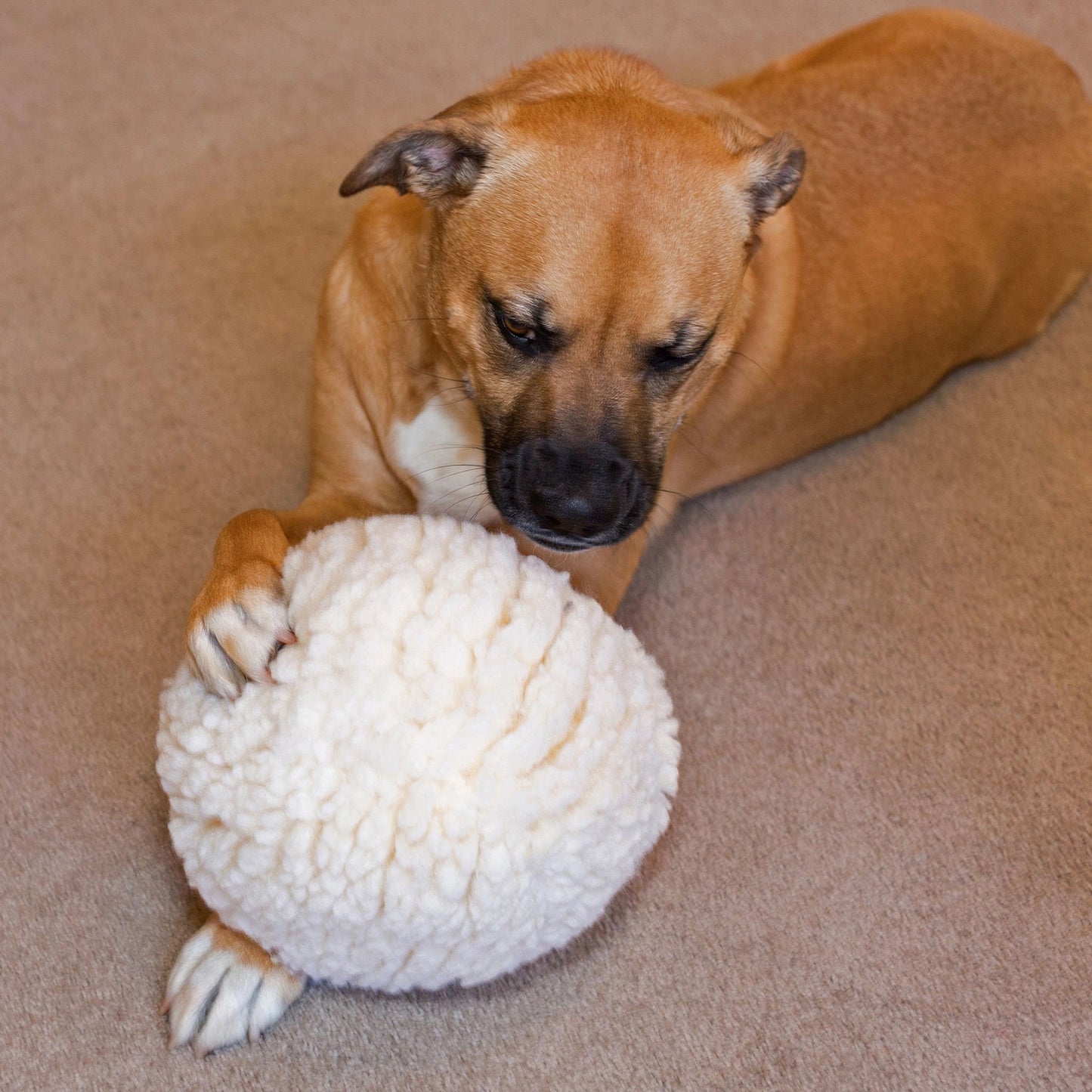 Squeakerless Plush Ball Dog Toy - Large 8"