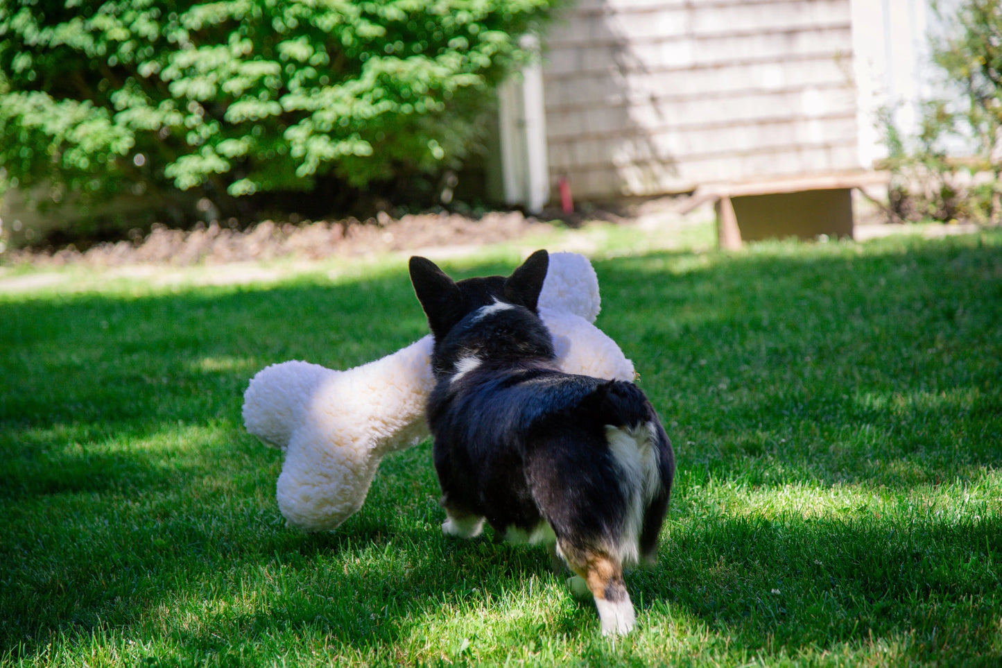 Plush Dog Toy - XLarge Bone 2 feet