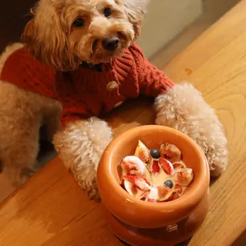 Soufflé Pet Bowl