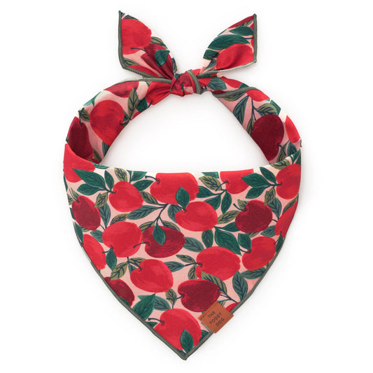 THE FOGGY DOG - Apple of My Eye Fall Dog Bandana