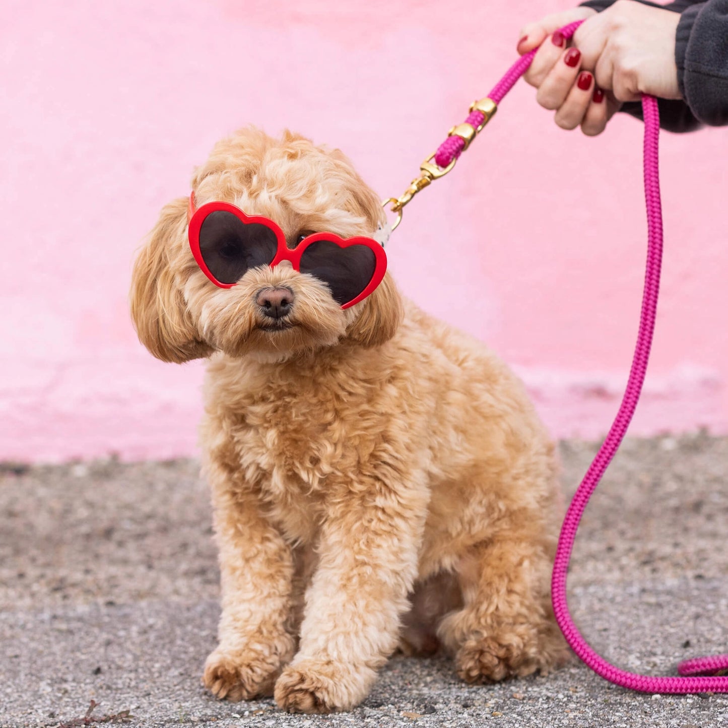 THE FOGGY DOG - Hot Pink Marine Rope Dog Leash